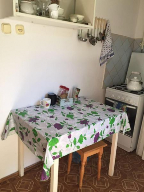 Guesthouse Lunacharskogo 176